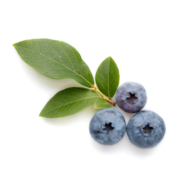 Fresh ripe blueberry berries and leaves isolated on white background. Top view. Flat lay. Fresh ripe blueberry berries and leaves isolated on white background. Top view. Flat lay. bilberry fruit stock pictures, royalty-free photos & images
