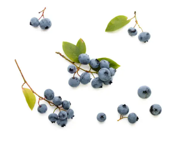 Fresh ripe blueberry berries and leaves isolated on white background. Top view. Flat lay.