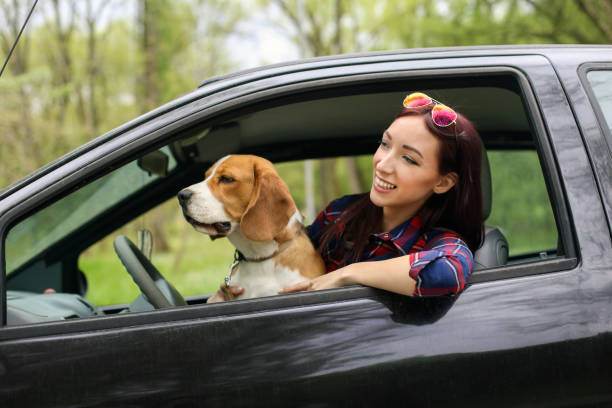 istock Young woman in car with her dog 1141175600