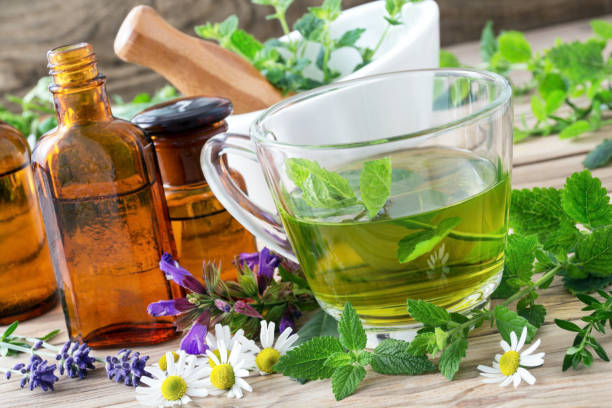 té de hierbas con hierbas frescas - mortar and pestle lavender chamomile herb fotografías e imágenes de stock