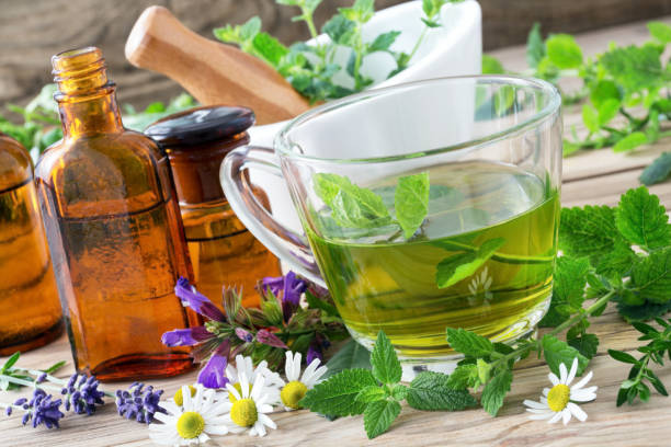 tisana con erbe fresche - chamomile herbal tea chamomile plant tea foto e immagini stock