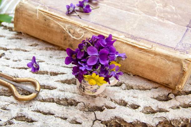 istock still life with garden violet 1141176402