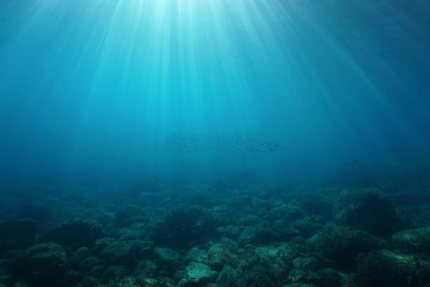 istock Natural sunbeams underwater with rocks on seabed 1141176950