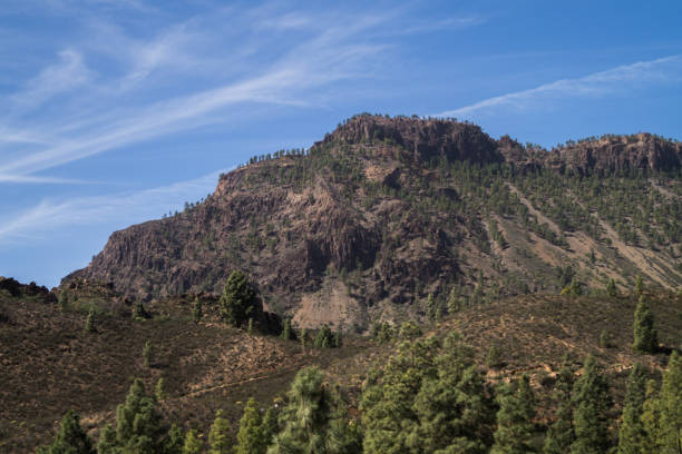 istock Mountain with spruce,desert area 1141178240
