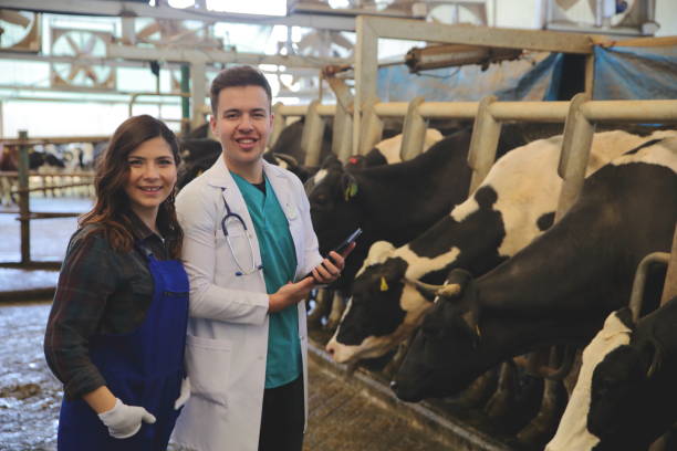 istock veterinarian chatting with farmer 1141178403