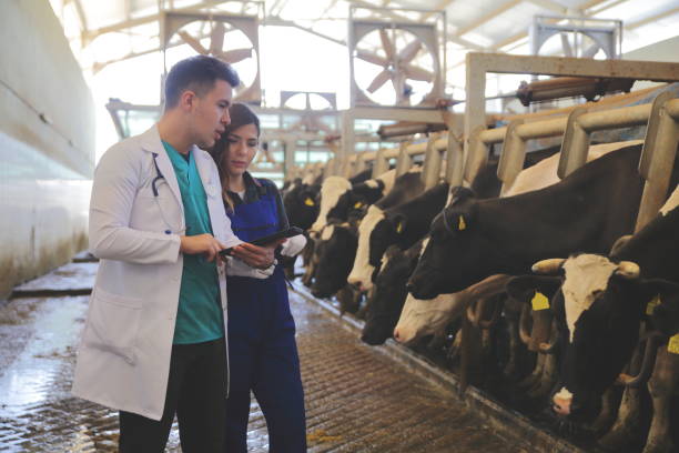 istock veterinarian chatting with farmer 1141178437