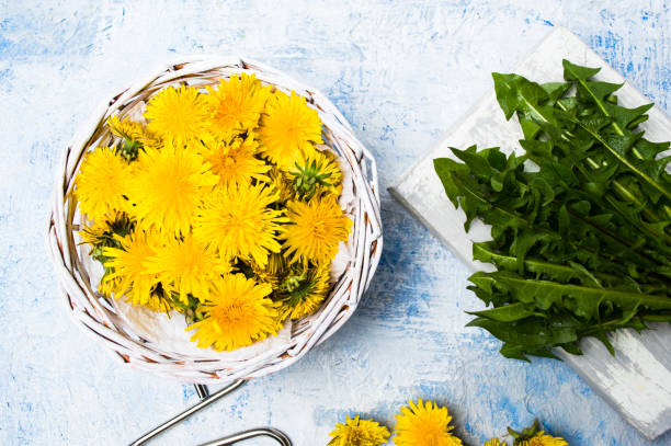 istock Dandelion flowers in wicker bowl top view 1141180990