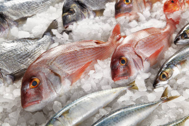Fresh fishes on market display