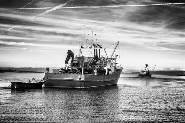 two fishing trawlers leave the port in early evening