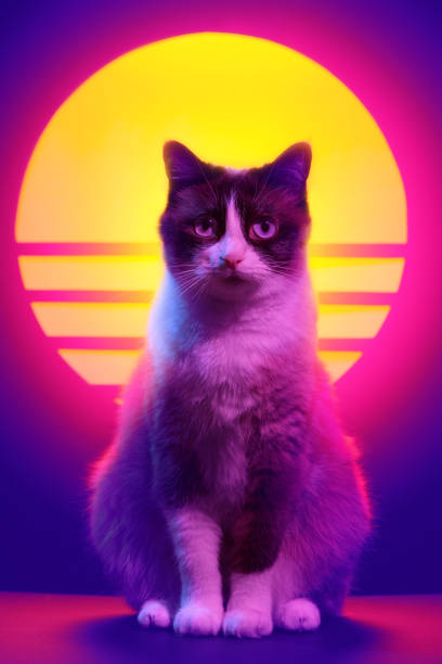 istock Cat portrait in synthwave aesthetics. 1141184073