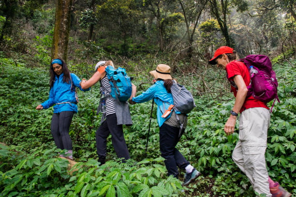 Hikers Helping Eachother Hikers walking through a rural area Munnar, India. They are holding hands as they support each other through the uneven terrain. They are wearing backpacks and waterproof clothing. disabled person hiking outdoors stock pictures, royalty-free photos & images
