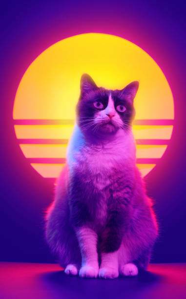 istock Retrowave synthwave portrait of a cat in 80s retro aesthetics 1141184407