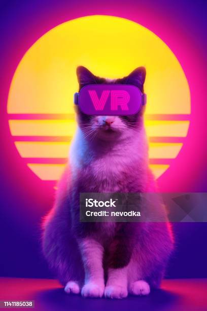 Gato Que Usa Gafas De Realidad Virtual Con Auriculares Inalámbricos Foto stock y más banco de imágenes de Realidad Virtual - iStock