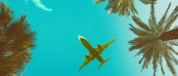 istock Palm trees perspective view banner with airplane vintage toned 1141185112
