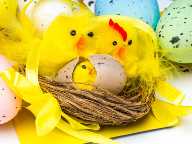 istock easter eggs and yellow chickens isolated on white background 1141191713