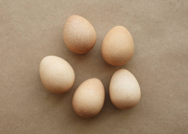 Five eggs of Guinea fowl. Five very useful and dietetic light beige eggs of Guinea fowl laying of craft paper. guinea fowl stock pictures, royalty-free photos & images