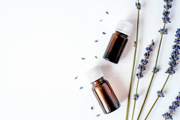 istock Dried lavender with a bottle of essential oil 1141193944