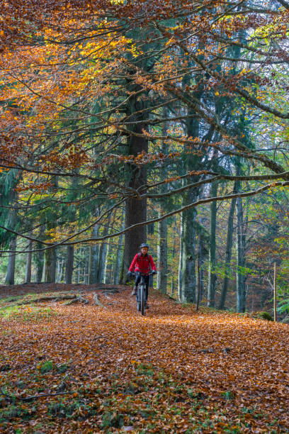 istock Mountain Biking in Case, Allgau Alps 1141195885