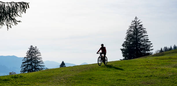 ciclismo de montaña en case, alpes de allgau - indiana summer lake tree fotografías e imágenes de stock