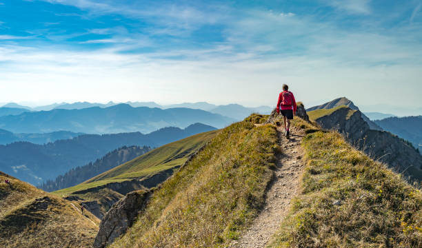 Hiking in the Allgaeu Alps nice senior woman, hiking in fall, autumn  on the ridge of the Nagelfluh chain near Oberstaufen, Allgaeu Area, Bavaria, Germany, Hochgrats summit in the background mountain ridge stock pictures, royalty-free photos & images