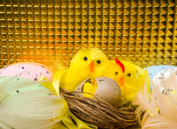 istock easter composition, colorful eggs, chicken in nest, color feather 1141196174