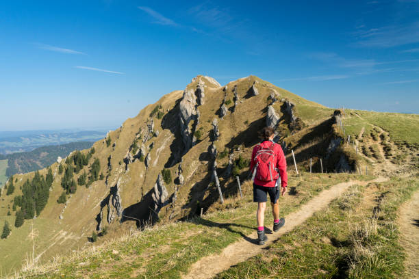 istock Hiking in the Allgaeu Alps 1141197042