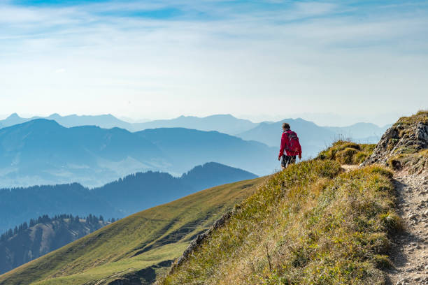 nice senior woman, hiking in fall, autumn  on the ridge of the Nagelfluh chain near Oberstaufen, Allgaeu Area, Bavaria, Germany, Hochgrats summit in the background