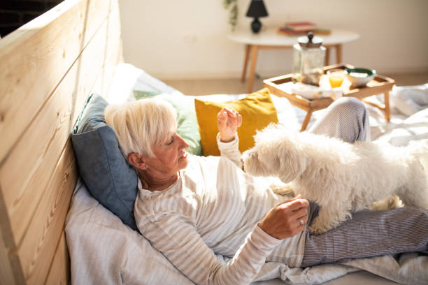 istock Senior woman lying in bed with dog 1141198120