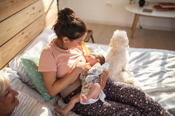 família de três gerações que aprecia o tempo junto - grandmother grandson baby mother - fotografias e filmes do acervo