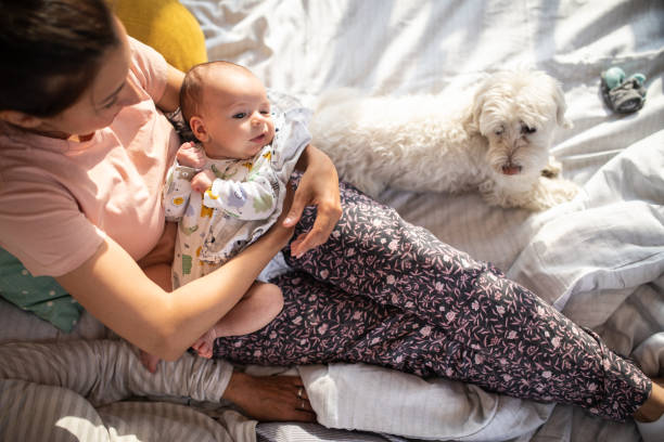 istock Directly above mother, baby boy and pet 1141198251