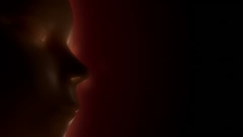 3d Fetus Human Birth Stage Animation Stock Video - Download Video Clip Now - 10 Seconds or Greater, 3D Animation, Animation - Moving Image - iStock 3d Fetus Human Birth Stage Animation Stock Video - Download Video Clip Now - 10 Seconds or Greater, 3D Animation, Animation - Moving Image - iStock