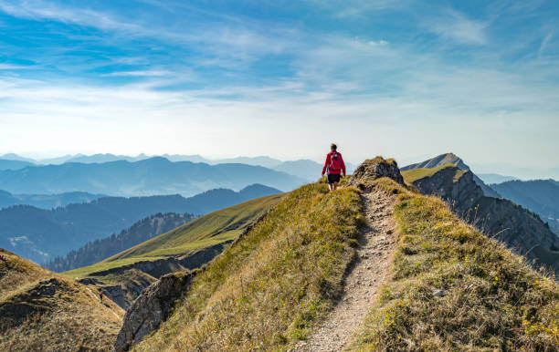 nice senior woman, hiking in fall, autumn  on the ridge of the Nagelfluh chain near Oberstaufen, Allgaeu Area, Bavaria, Germany, Hochgrats summit in the background