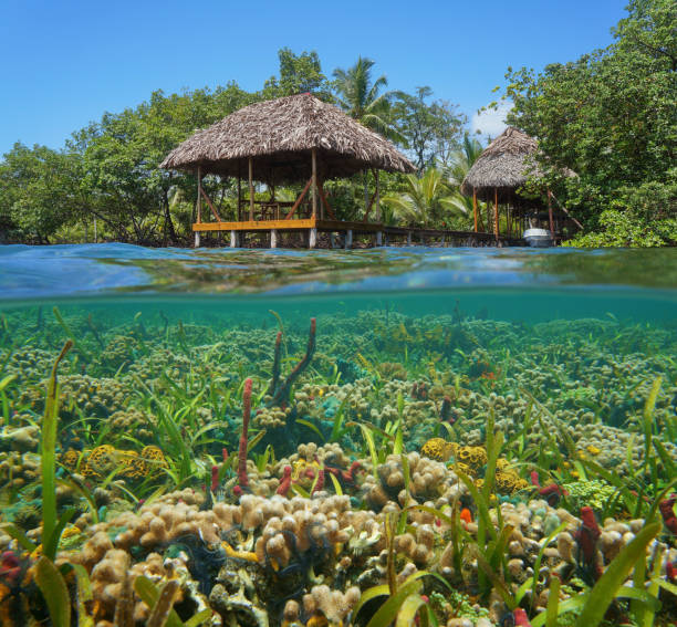 A thatched tropical hut over the water with a colorful coral reef underwater, Caribbean sea