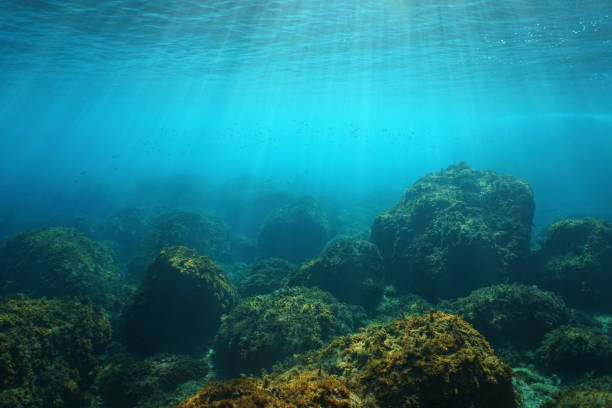 Underwater seascape sunlight and rocks on seabed