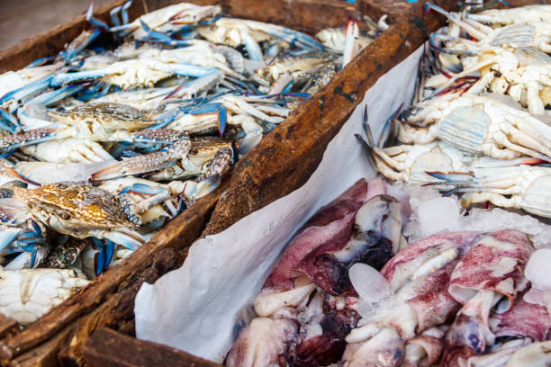 istock Fresh raw seafood in the fish market 1141202779