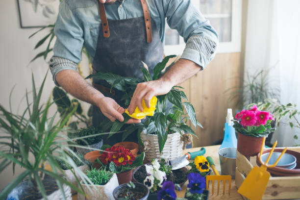istock Taking good care of my plants 1141204385