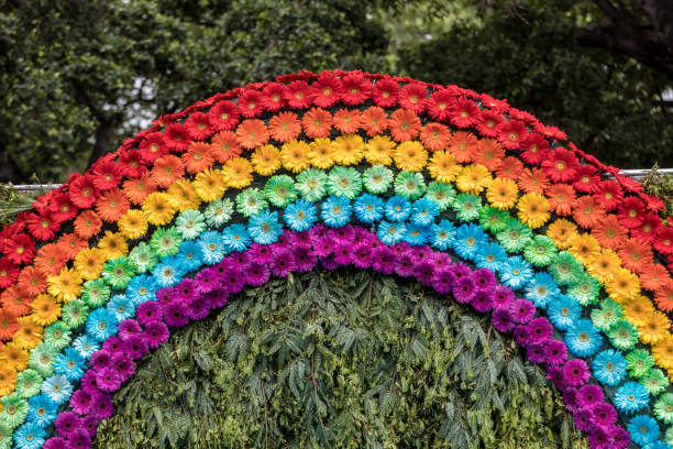 décoration floristique de beauté avec des fleurs colorées de gerbera - flower parade photos et images de collection