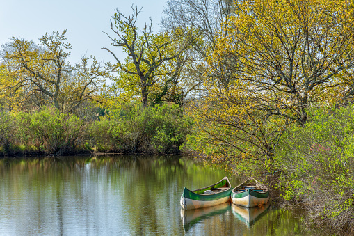 Two canöes on the river Leyre, called the 'little Amazon', near Arcachon