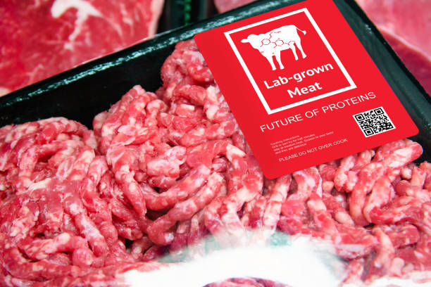 искусственная говяжья лаборатория выращивала мясо в розничном супермаркете формирующейся области производства продуктов питания с этике - food laboratory plant biology стоковые фото и изображения