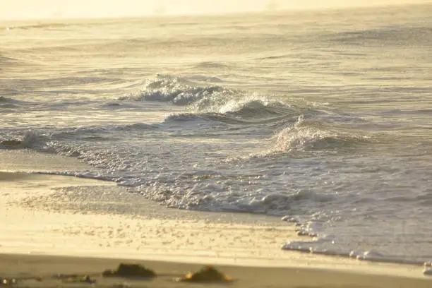 Beautiful waves crashing into the california coast