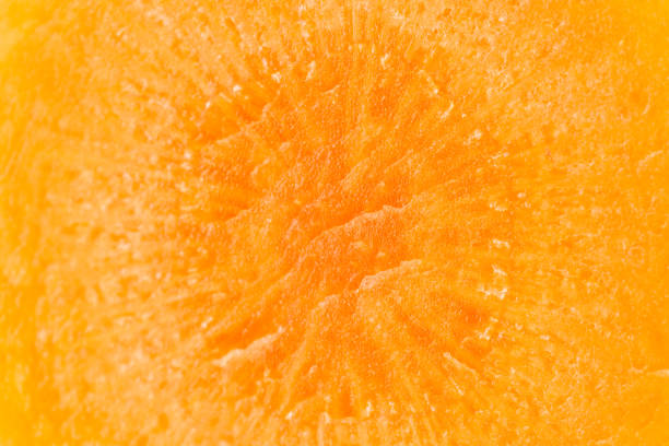 istock Fresh orange carrot isolated 1141211533