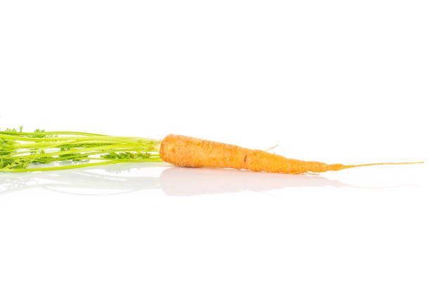 istock Fresh orange carrot isolated on white 1141211745
