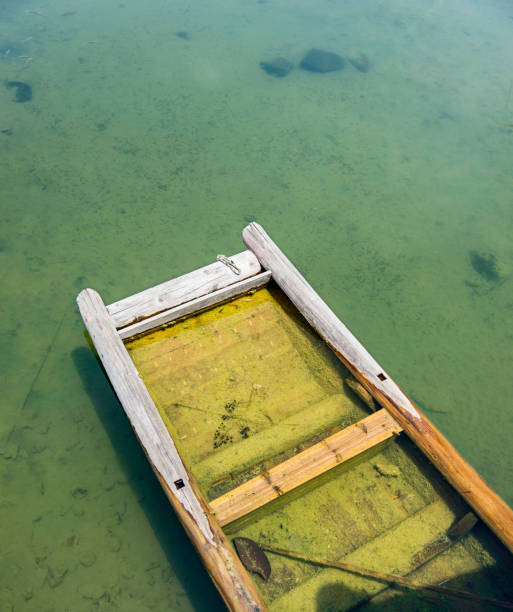 istock Old wooden boat in pond 1141213041