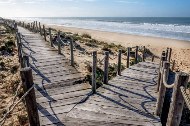 o falk in the road of two wooden pathways on the beach Looking down two wooden decking pathways forming a fork in the road, both heading down to a sweeping sandy beach with the blue sea and blue sky in front  Praia Da Lagoa, Algarve, Portugal. fork in the road stock pictures, royalty-free photos & images