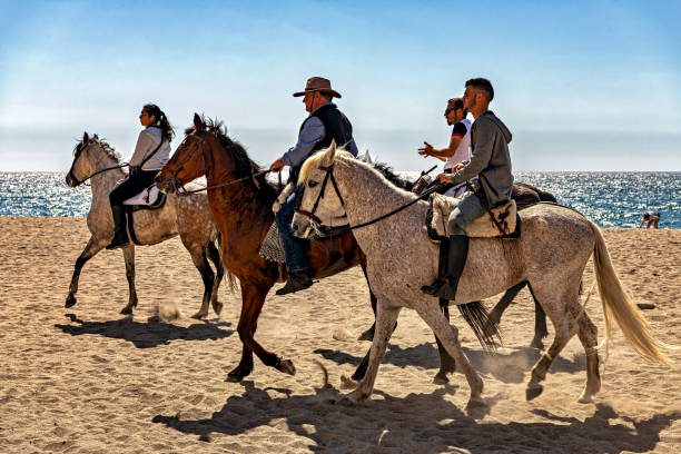 Relaxing Scene Riding Horses on the beach