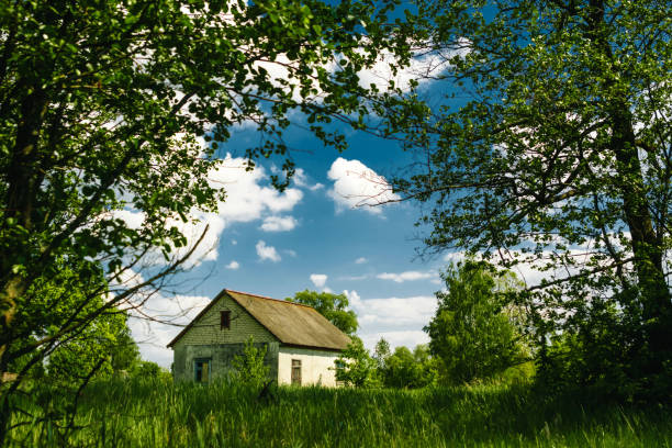 House in the forest against the blue sky