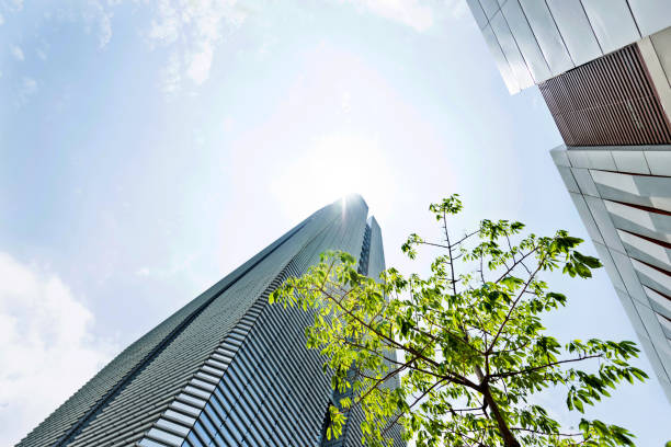 istock Business skyscraper and green leaves 1141222084