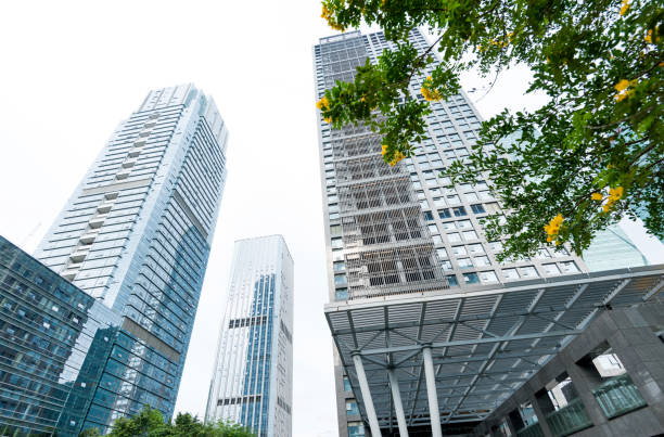 istock Business skyscraper and green leaves 1141222800