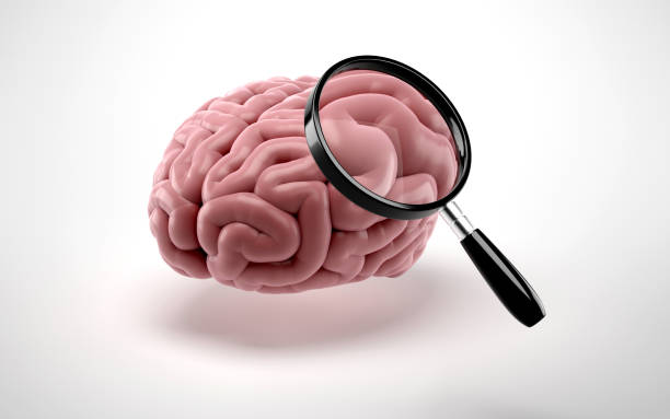 istock Brain with magnifying glass isolated on blue background. 1141224904