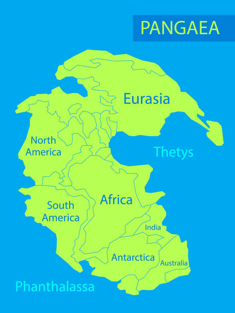 illustrazioni stock, clip art, cartoni animati e icone di tendenza di pangea o pangea. illustrazione vettoriale del supercontinente che esisteva durante il tardo paleozoico e le prime epoche mesozoiche. mappa del verde antico continente e oceano in stile piatto. poster. educazione - triassic